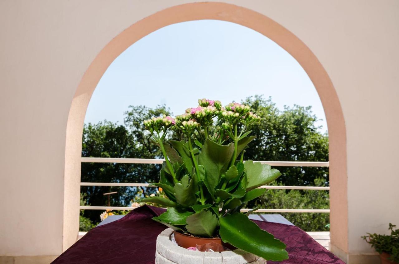 Villa Barbara Mlini Exterior foto